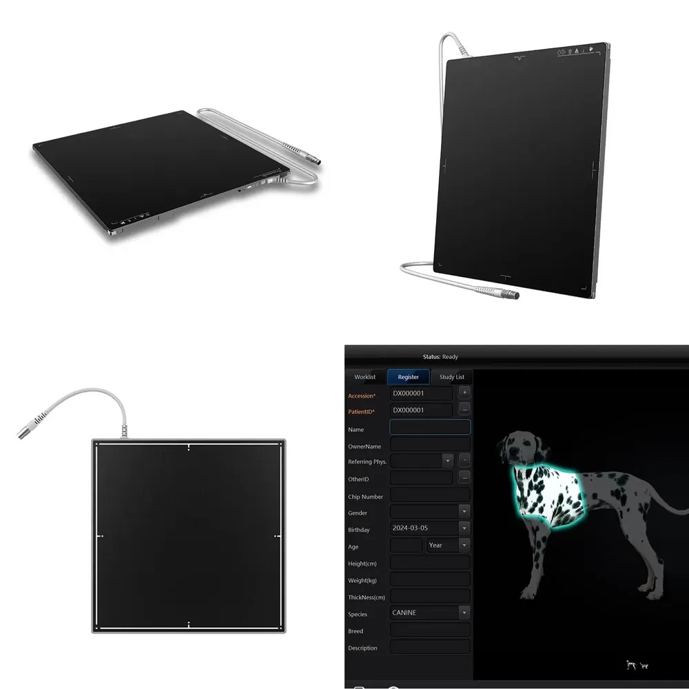 Tech Accessories Sale - Sıcak Fırsat 1717 İnç AEC Tech